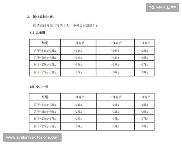组委会介绍赛事规程、组委会介绍赛事规程内容